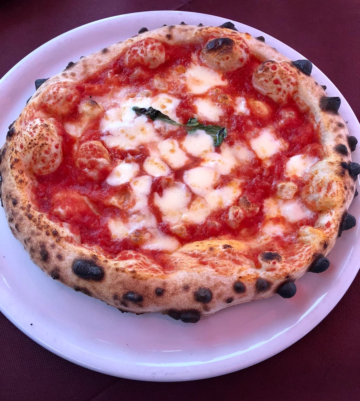 Napoli Usulü Pizza Margherita için temsili yemek fotoğrafı